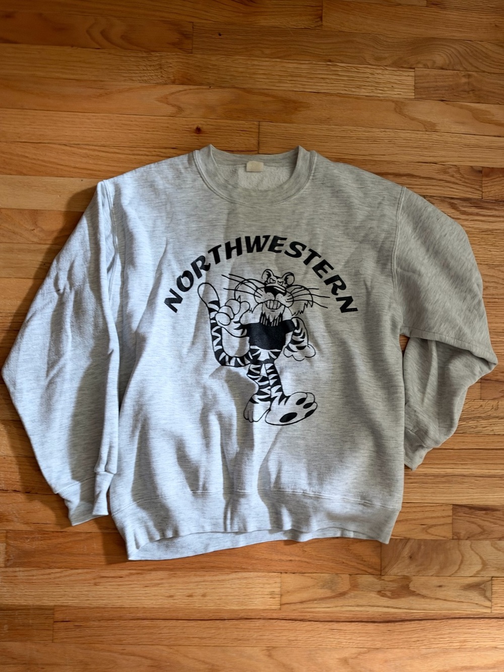 Northwestern University Sweatshirt